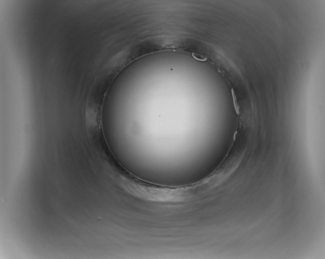 X0000112080044200908041303
