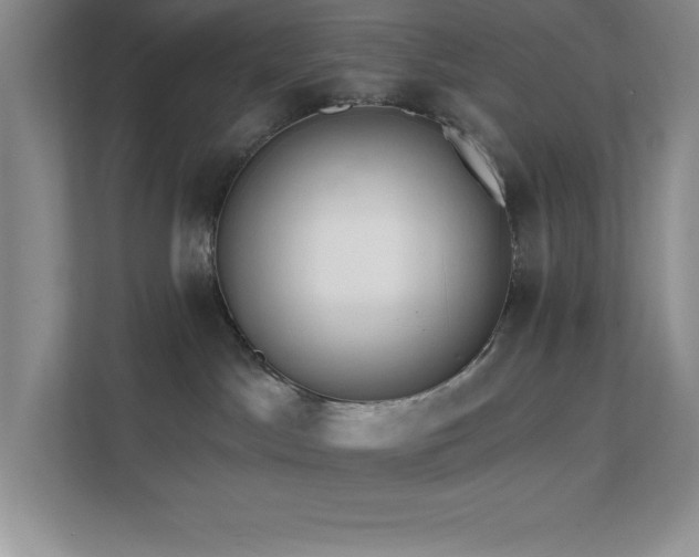 X0000112080045200908041303
