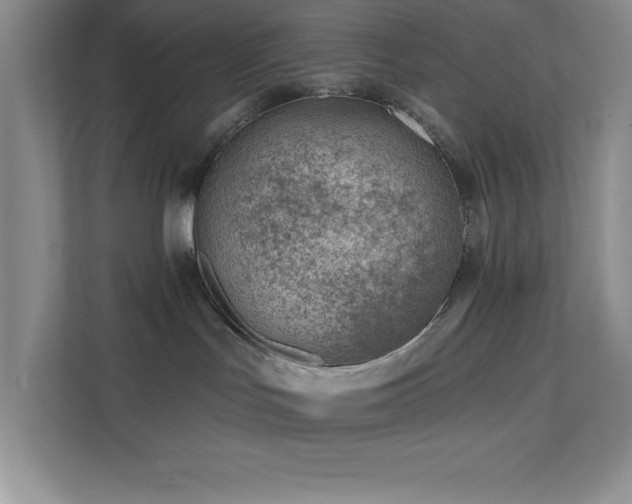 X0000112080047200908041302
