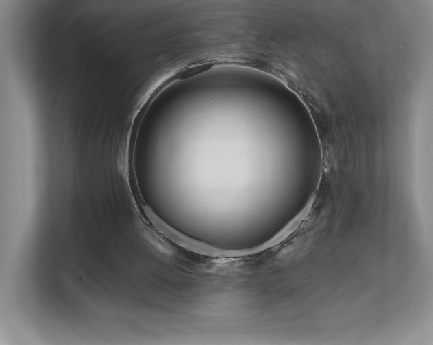 X0000112080052200908041302