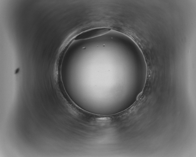 X0000112080053200908041302