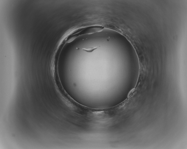 X0000112080054200908041302