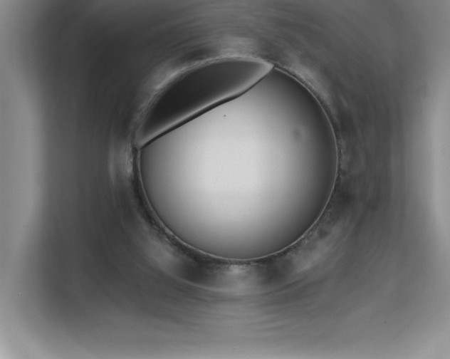 X0000112080060200908041302