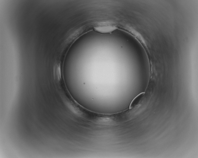 X0000112080061200908041302