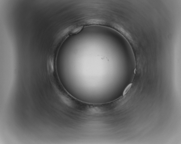 X0000112080062200908041302