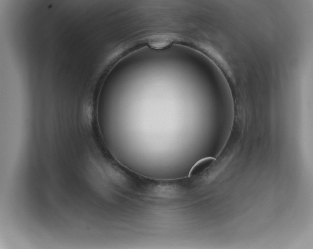 X0000112080063200908041302