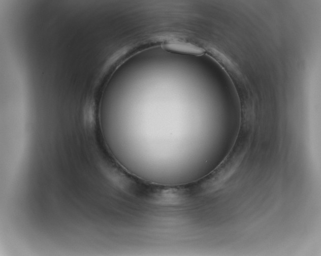 X0000112080064200908041302