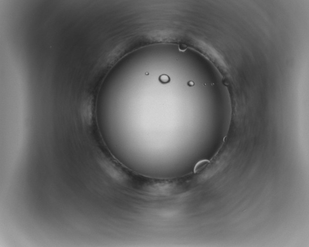 X0000112080065200908041302
