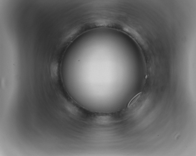 X0000112080066200908041302