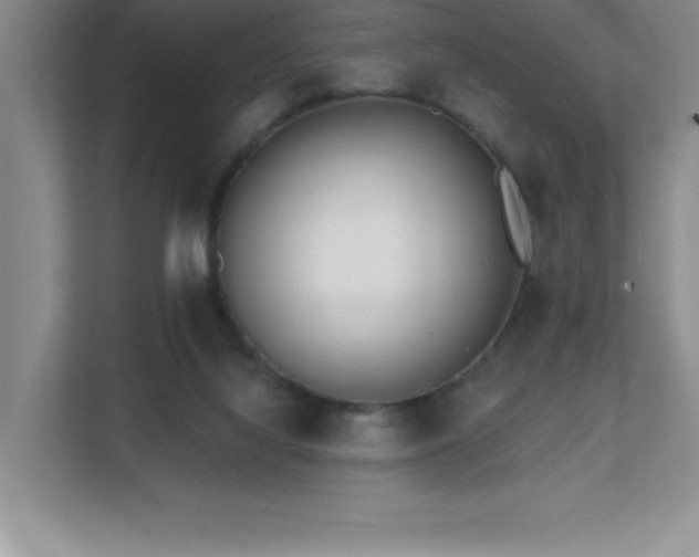 X0000112080068200908041302