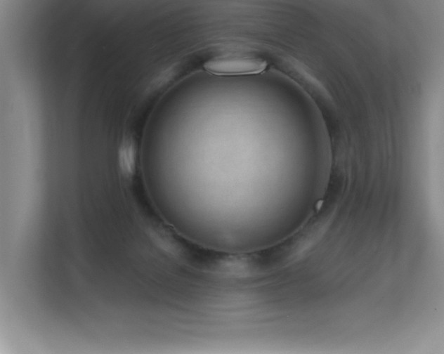X0000112080076200908041302