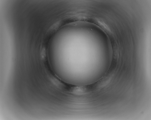 X0000112080077200908041302