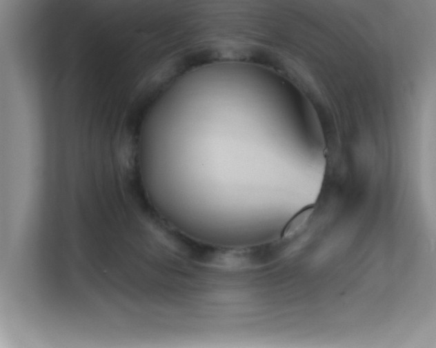 X0000112080078200908041302