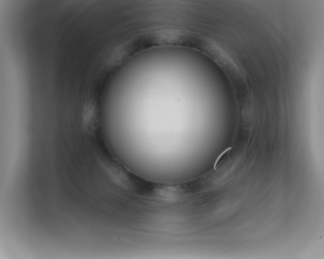 X0000112080079200908041302