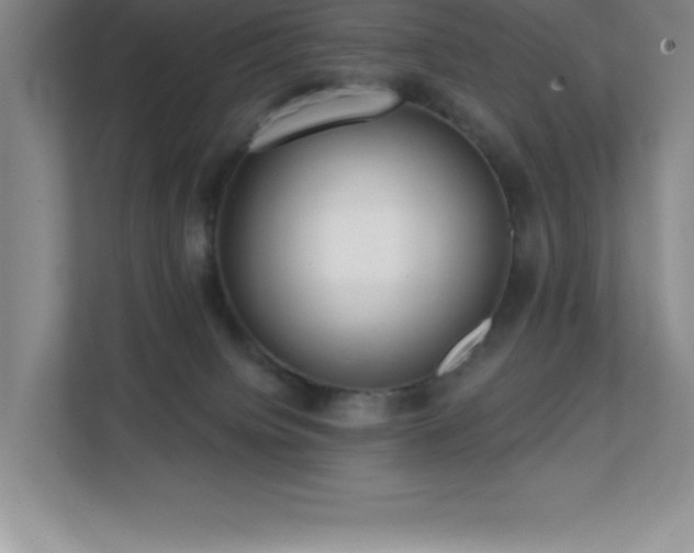 X0000112080084200908041302