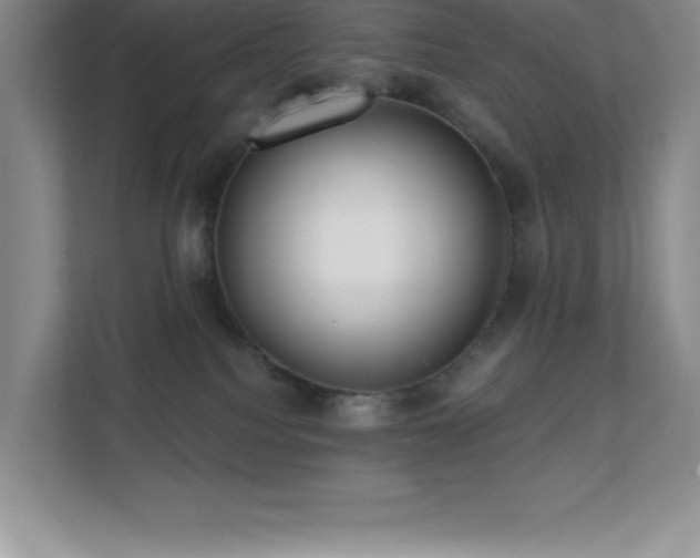 X0000112080088200908041302