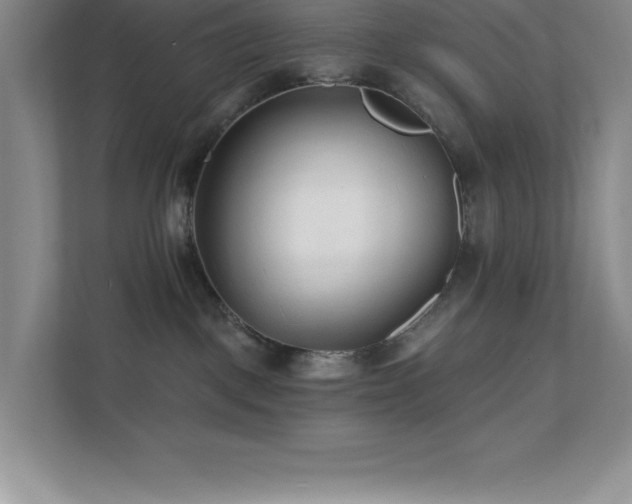 X0000112080093200908041302