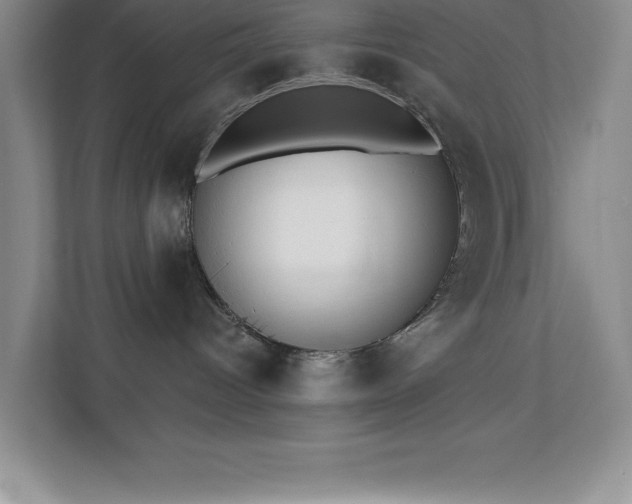 X0000112080096200908041302