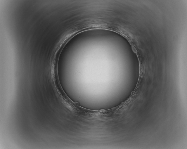 X0000112080098200908041302