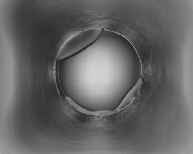 X0000112080100200908041302