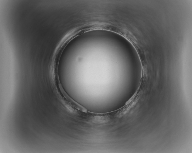 X0000112080101200908041302