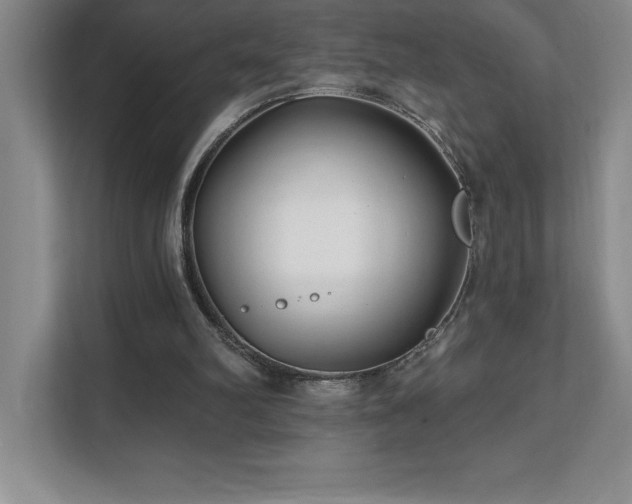 X0000112080102200908041302