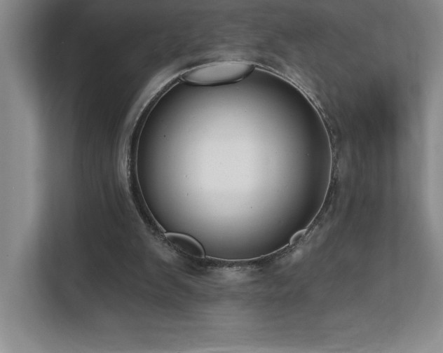 X0000112080103200908041302