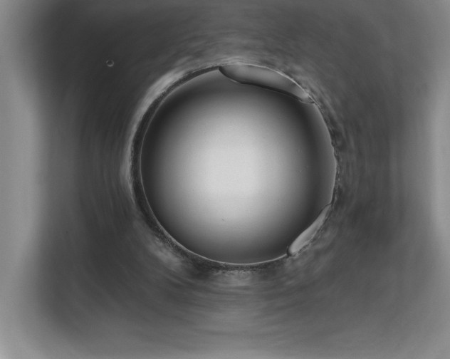 X0000112080104200908041302