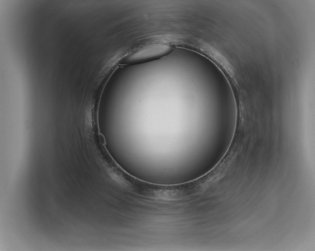 X0000112080105200908041302