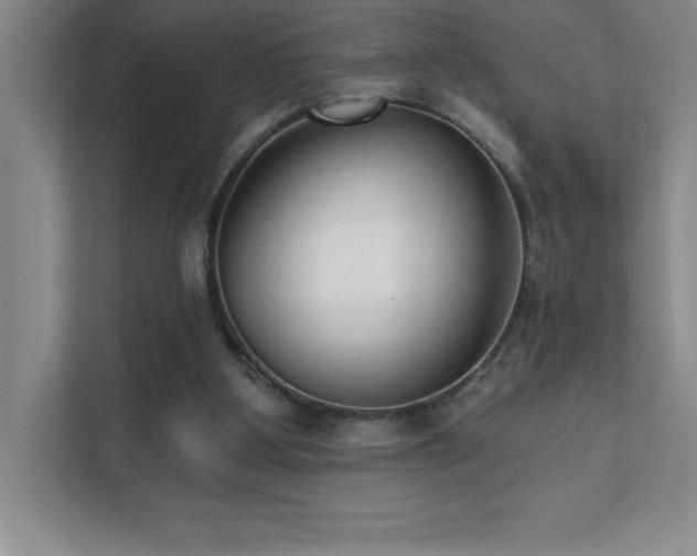 X0000112080107200908041302