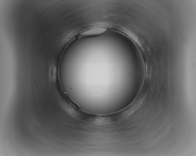 X0000112080109200908041302
