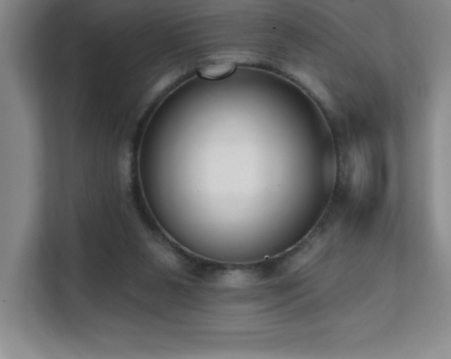 X0000112080111200908041302