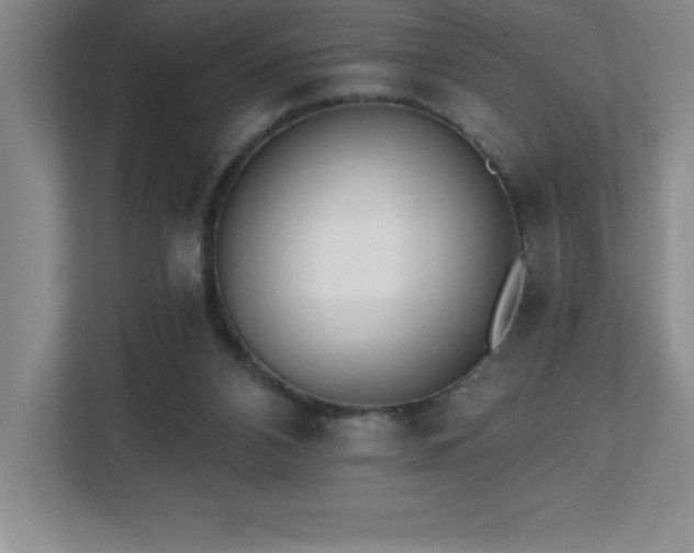 X0000112080112200908041302