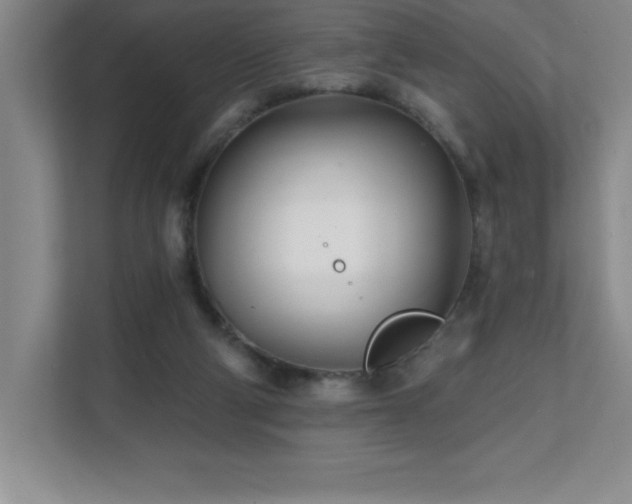 X0000112080114200908041302