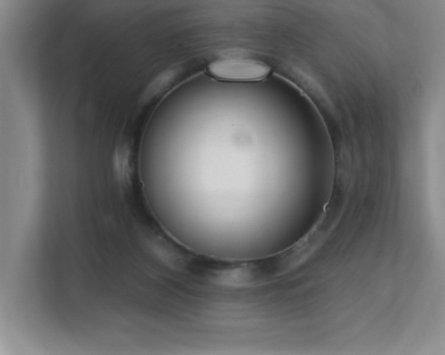 X0000112080116200908041302