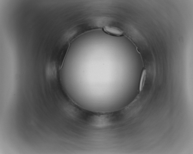 X0000112080120200908041302