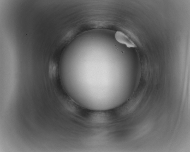 X0000112080123200908041301