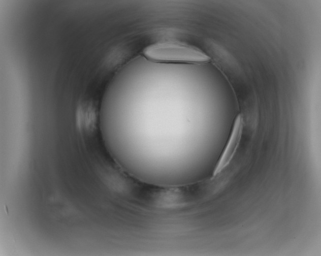 X0000112080124200908041301