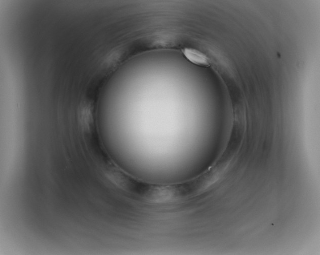 X0000112080127200908041301
