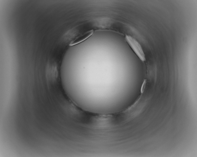 X0000112080128200908041301