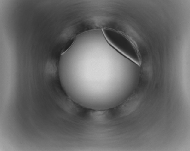 X0000112080129200908041301