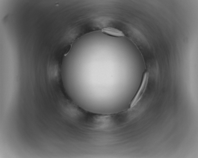 X0000112080132200908041301