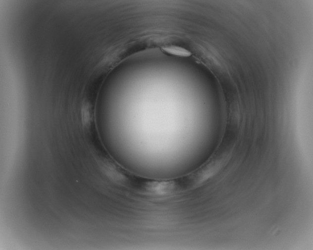 X0000112080135200908041301