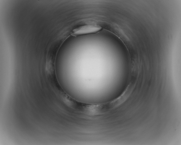 X0000112080136200908041301