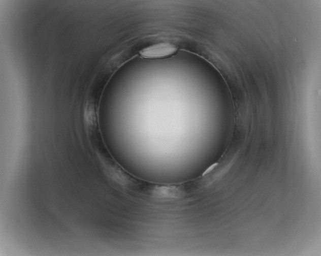 X0000112080137200908041301