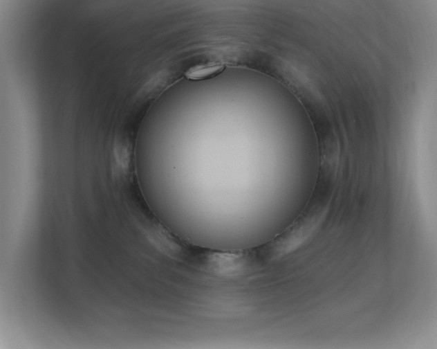 X0000112080139200908041301