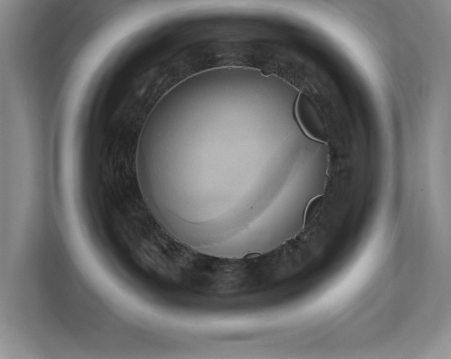 X0000112080143200908041301