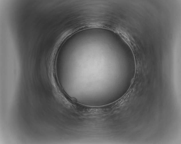 X0000112080145200908041301