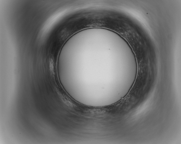 X0000112080146200908041301