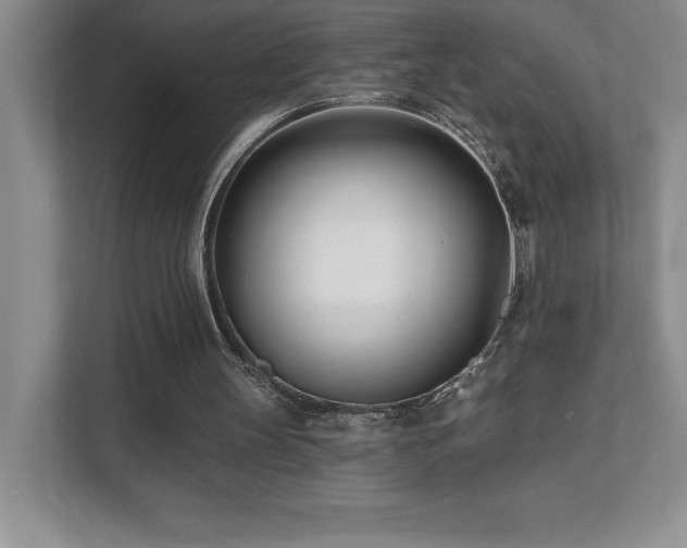 X0000112080147200908041301